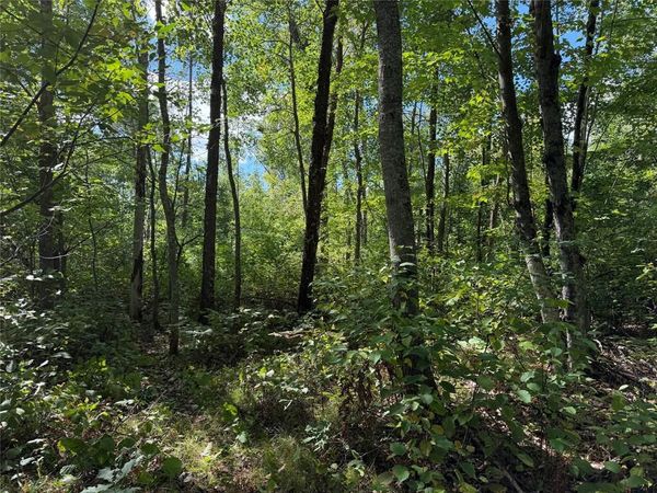 0 Shell Creek Road, Minong, WI 54859