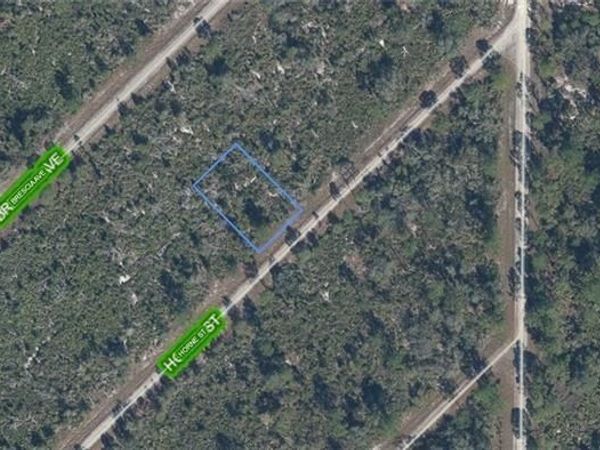 3517 Horne St , Lake Placid, FL 33852