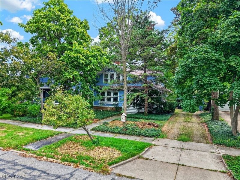 29 S Prospect Street, Oberlin, OH 44074 Photo 4