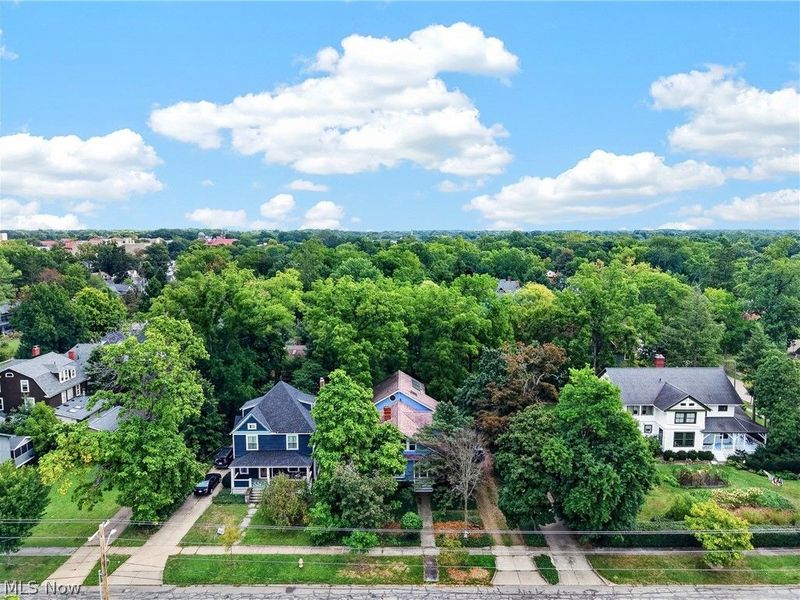 29 S Prospect Street, Oberlin, OH 44074 Photo 5