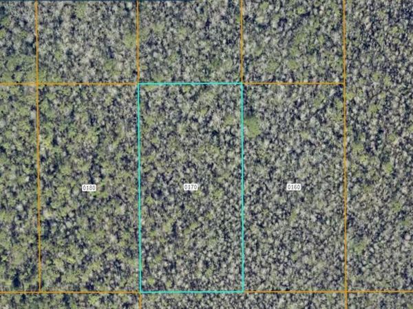 7108-01-03-0170 NO STREET , DELAND, FL 32724