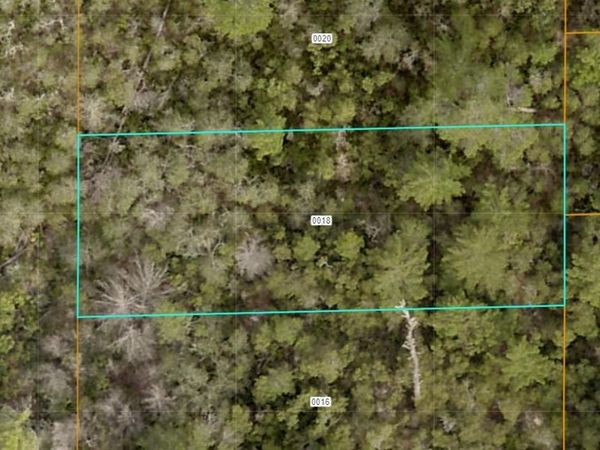 EVELYN (PAPER) STREET , DELTONA, FL 32738