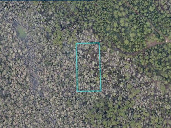 7128-02-12-0200 NO STREET , LAKE HELEN, FL 32744