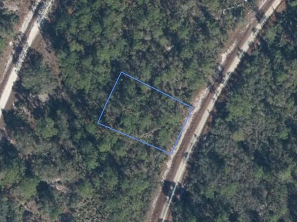 818 HOLLYWOOD STREET , LAKE PLACID, FL 33852