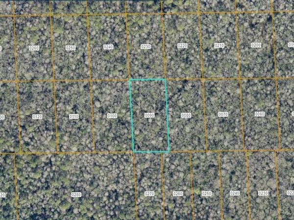 7106-01-15-0090 NO STREET , DELAND, FL 32724