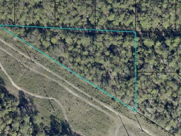EDDIE STREET , HASTINGS, FL 32145