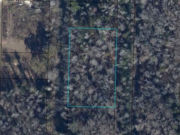 PINE STREET , KINARD, FL 32449