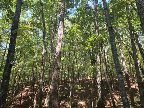 0 Browntown, Rockmart, GA 30153