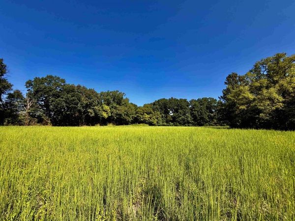 21.10 ACRES TERRY RD, Oakland, TN 38060