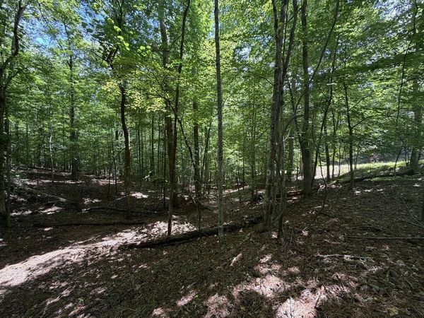 204 Guidon, Ellijay, GA 30540