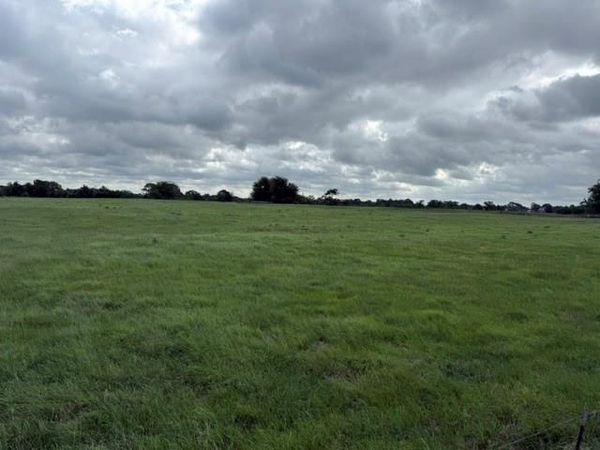 479 VZ County Road 1504 , Van, TX 75790