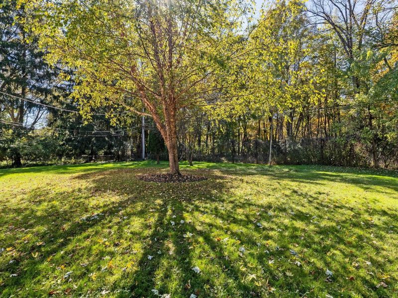 677 Timberlake Drive, Westerville, OH 43081 Photo 32