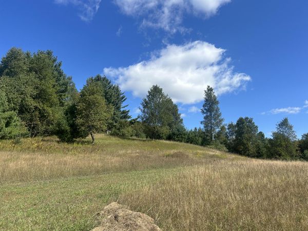 23358 N 170th Avenue, Tustin, MI 49688