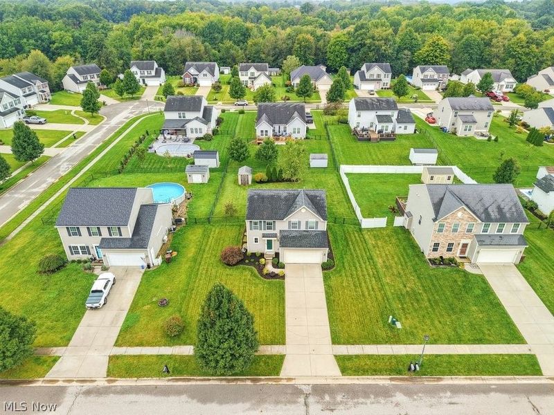 1256 Winter Fern Avenue, Akron, OH 44312 Photo 6