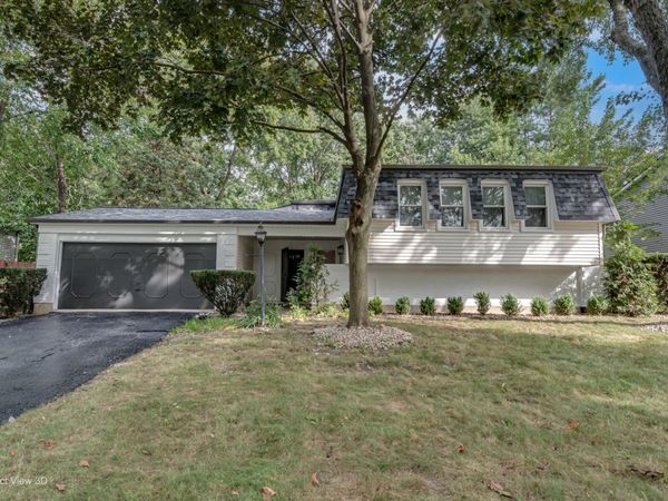 308 Pacific Drive , Bolingbrook, IL 60440