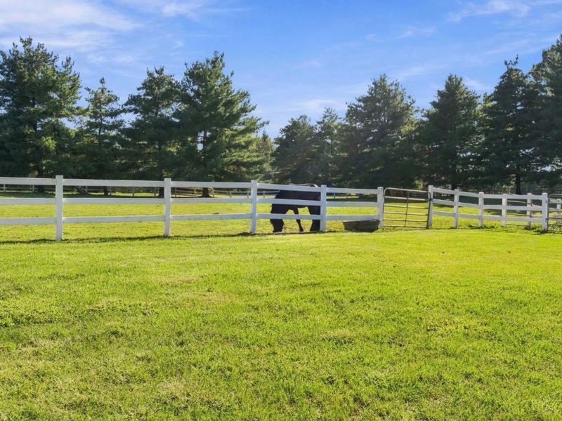 1204 Red Roan Drive, Miami Township, OH 45140 Photo 77