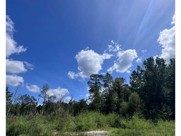 1223 Rainbow Dr. , Loris, SC 29569