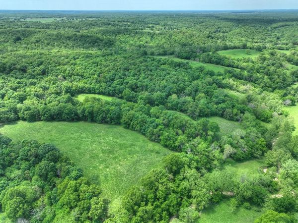 000 Pack Road , Noel, MO 64854