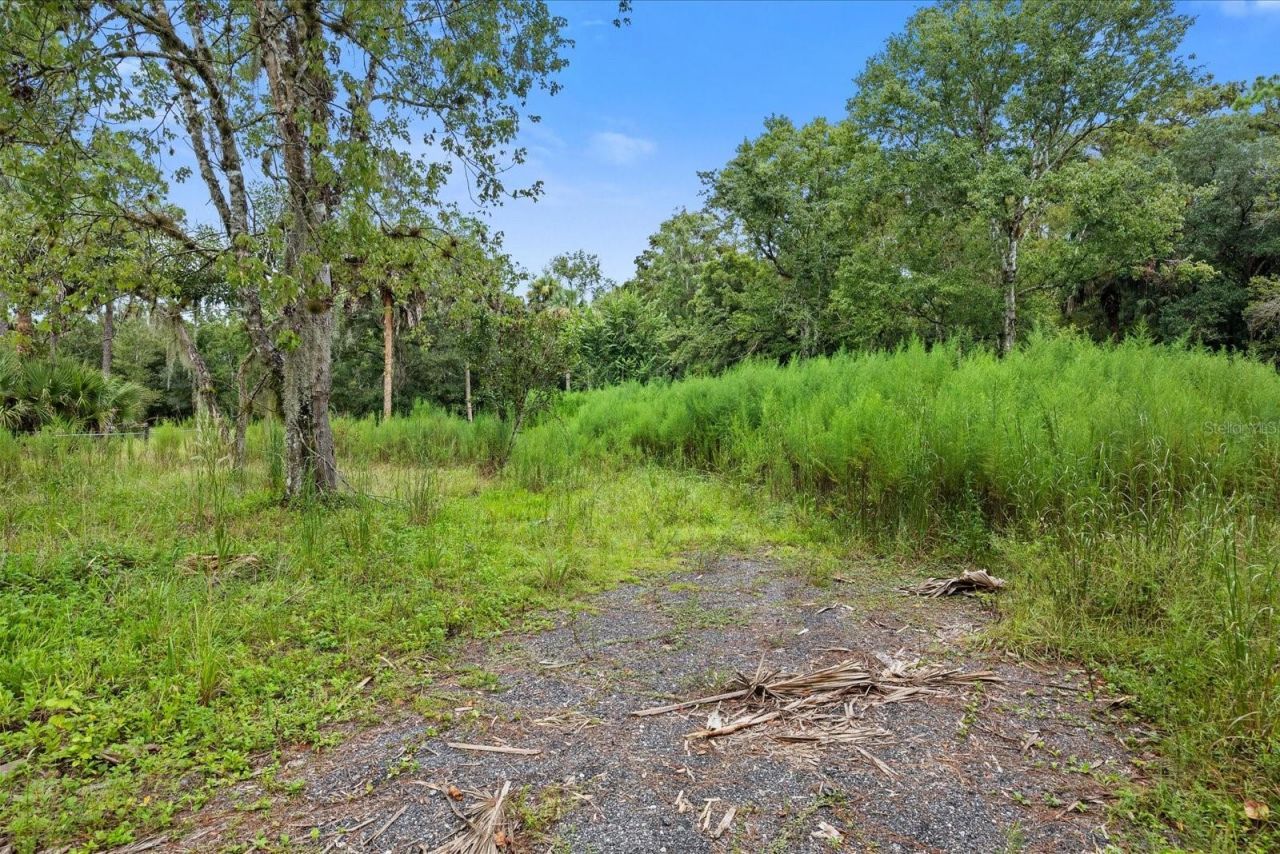 1220 NE 342nd Trail , Okeechobee, FL 34972 Photo