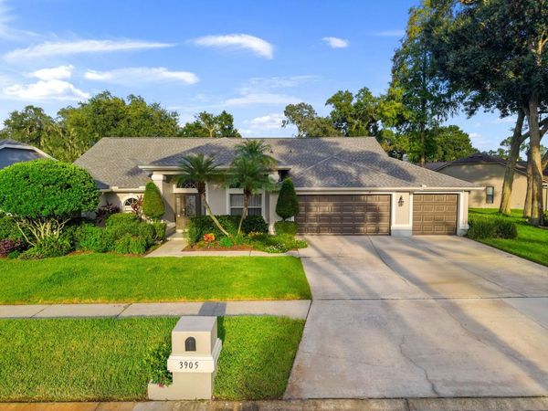 3905 NORTHRIDGE DRIVE , VALRICO, FL 33596