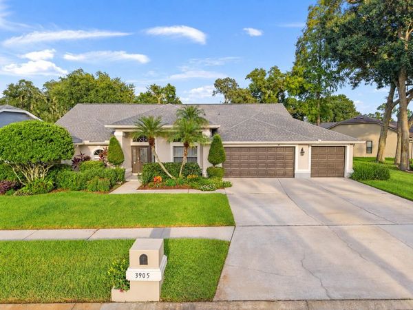 3905 NORTHRIDGE DRIVE , VALRICO, FL 33596