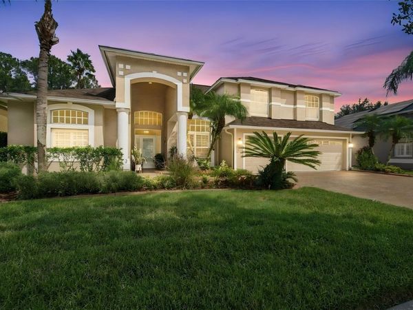 17323 EMERALD CHASE DRIVE, TAMPA, FL 33647