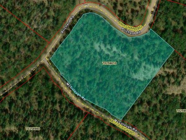 Lot 2746 Pritchard Road , Fort Garland, CO 81133