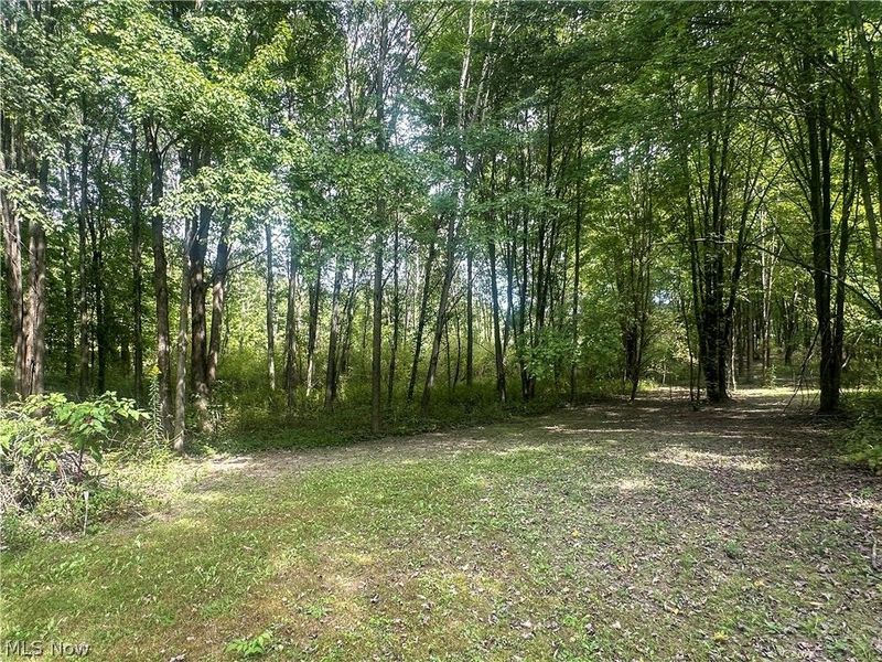 7706 State Route 46, Cortland, OH 44410 Photo 44
