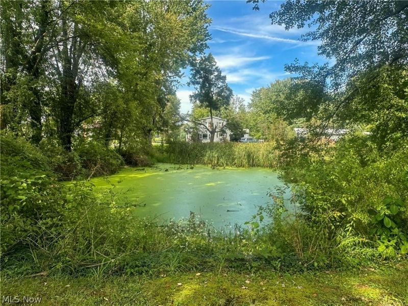 7706 State Route 46, Cortland, OH 44410 Photo 7