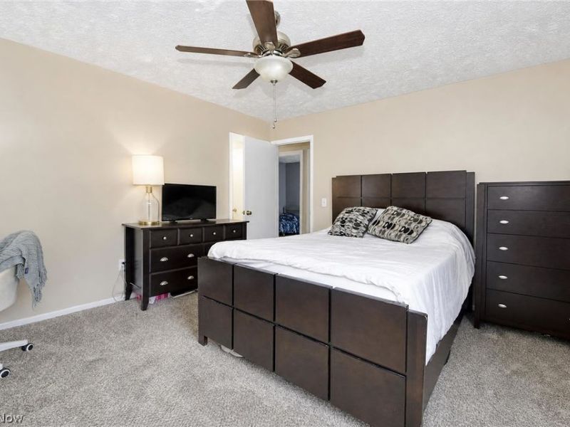 737 Sunset Drive, Madison, OH 44057 Photo 18