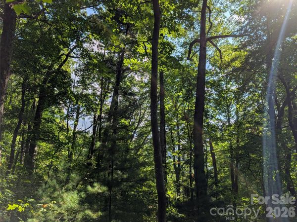 0 Raspberry None , Spring Creek, NC 28743