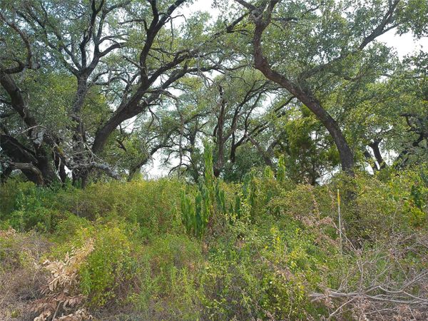 Lot 64 Rycen DR, Bertram, TX 78605