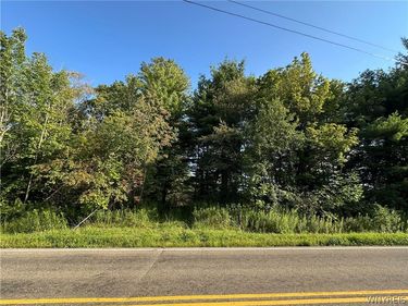 V/L Genesee Road, Lawtons, NY 14091