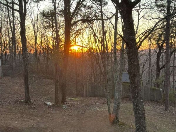 437 Mccurry Trail, Canton, GA 30114
