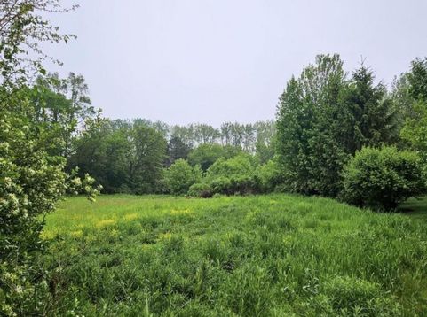 Main Photo