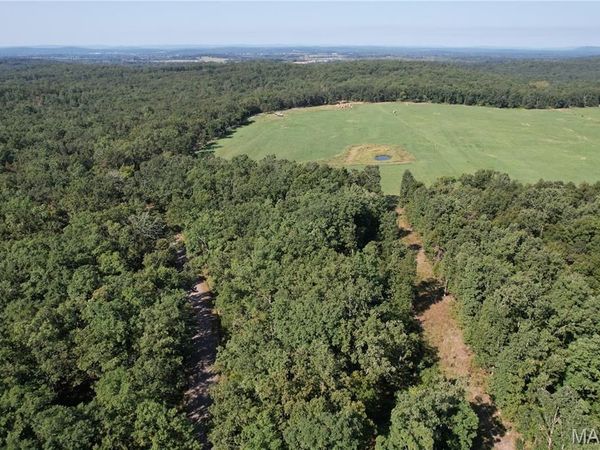 Off County Road 219 , Fredericktown, MO 63645