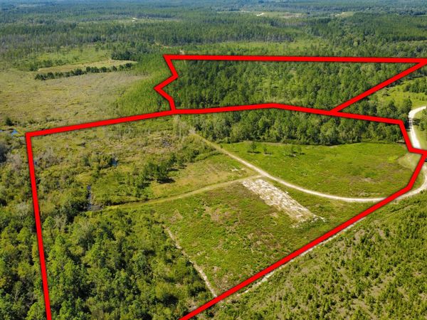 0 Chickadee Road, Millwood, GA 31552