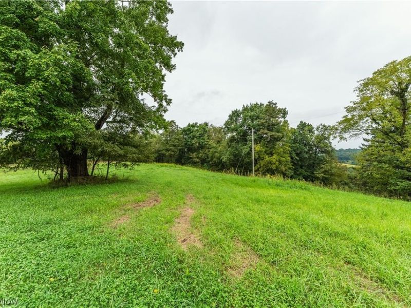 36810 Township Road 68a, Dresden, OH 43821 Photo 10