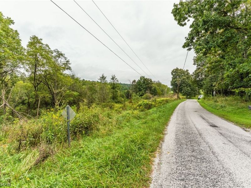 36810 Township Road 68a, Dresden, OH 43821 Photo 11