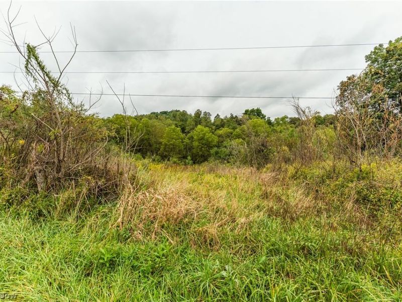 36810 Township Road 68a, Dresden, OH 43821 Photo 12