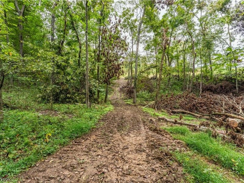 36810 Township Road 68a, Dresden, OH 43821 Photo 14