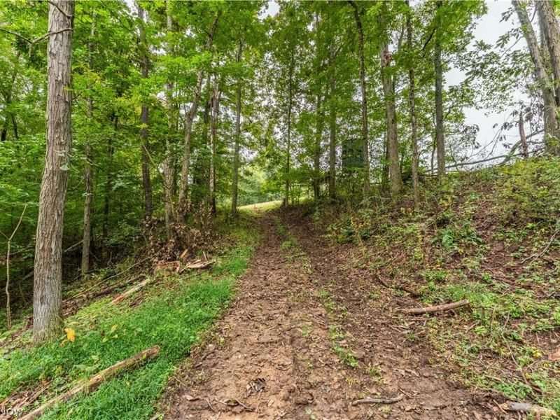 36810 Township Road 68a, Dresden, OH 43821 Photo 15