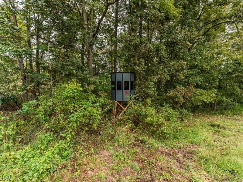 36810 Township Road 68a, Dresden, OH 43821 Photo 16