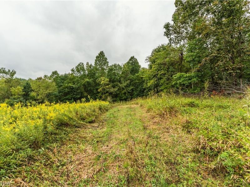 36810 Township Road 68a, Dresden, OH 43821 Photo 19