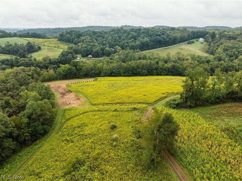 36810 Township Road 68a, Dresden, OH 43821 Photo 36