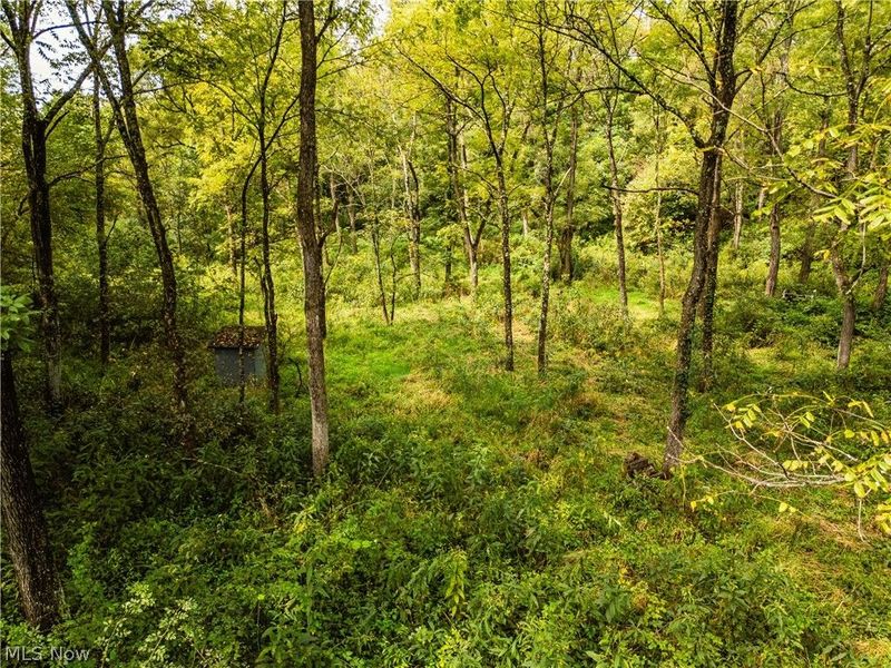 36810 Township Road 68a, Dresden, OH 43821 Photo 50