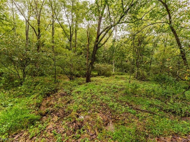 36810 Township Road 68a, Dresden, OH 43821 Photo 6