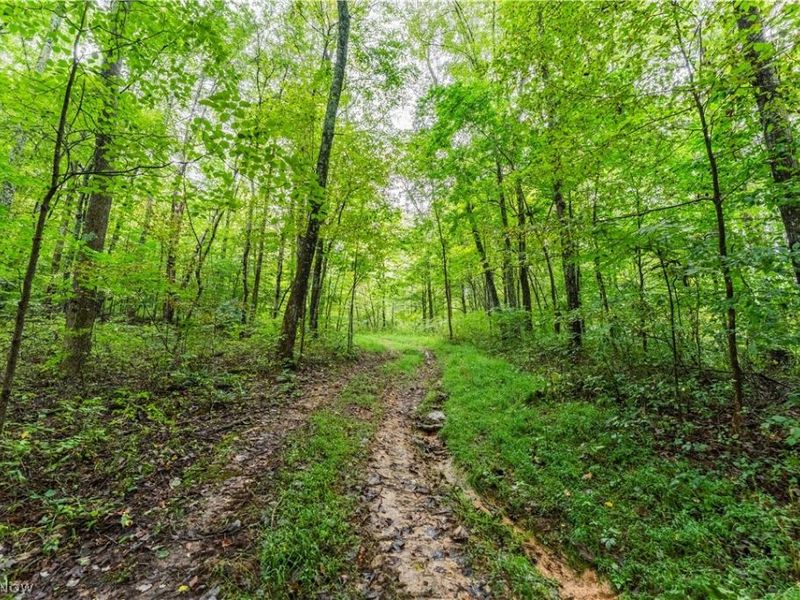 36810 Township Road 68a, Dresden, OH 43821 Photo 7