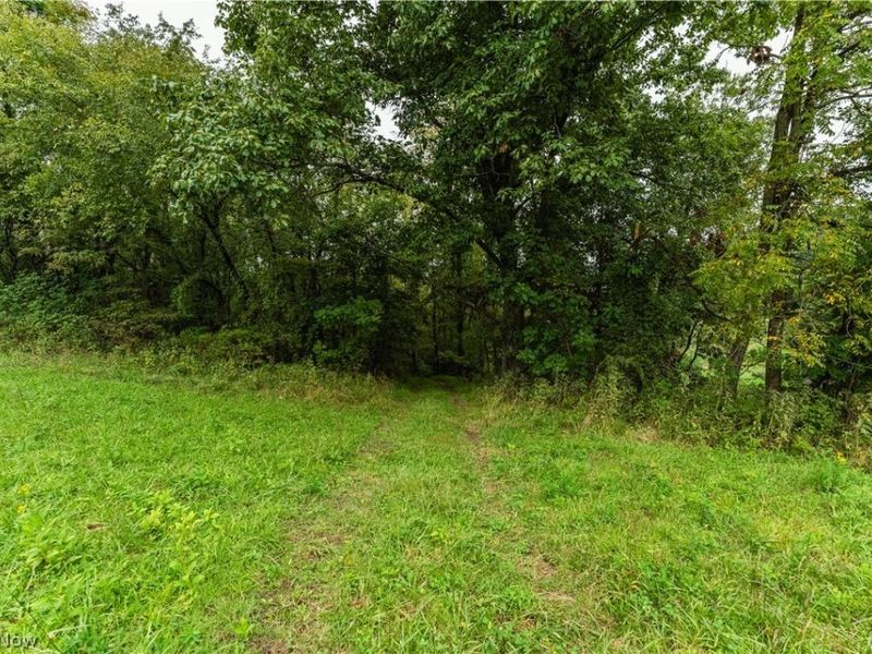 36810 Township Road 68a, Dresden, OH 43821 Photo 9