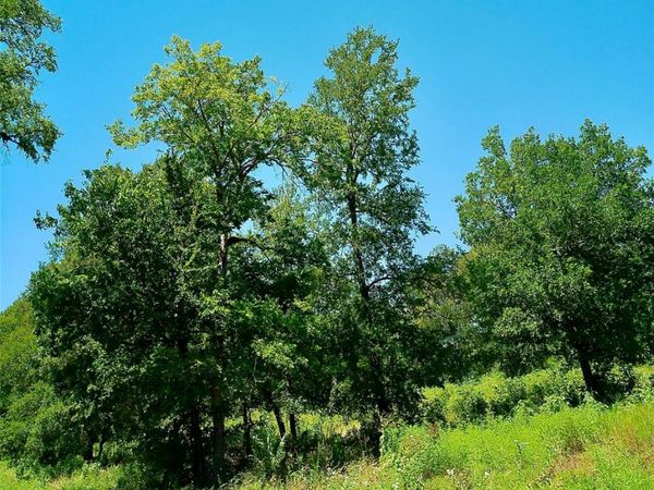 Lot 22 Serenity DR, Bertram, TX 78605